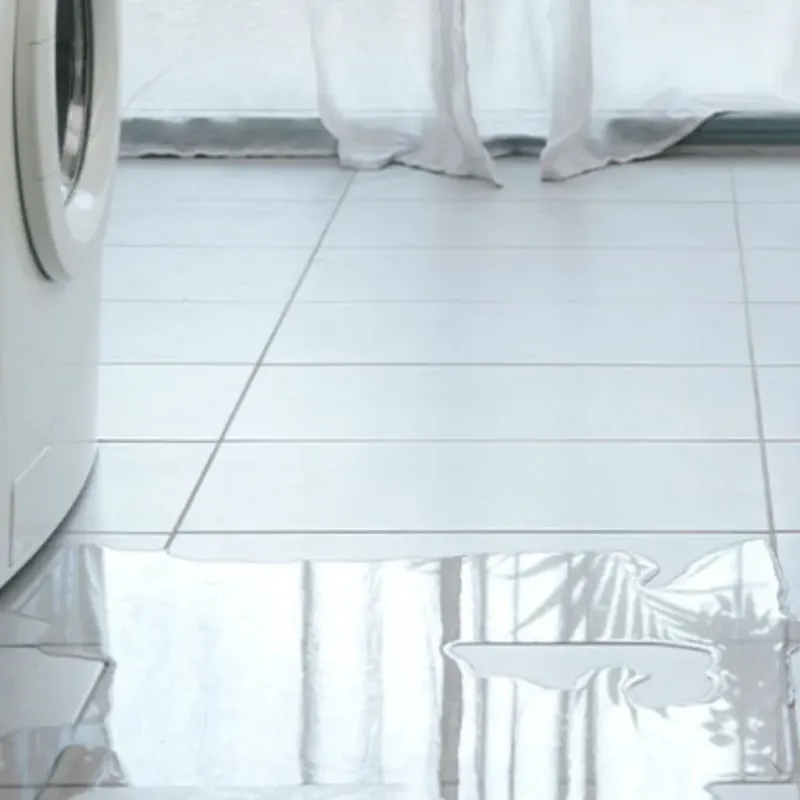 Appliance Leak Cleanup in Angels Camp, CA