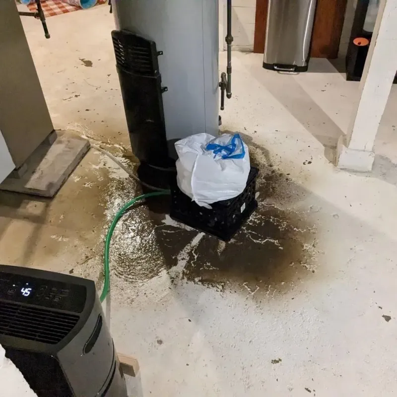 Sewage Backup Cleanup Service in Angels Camp, CA